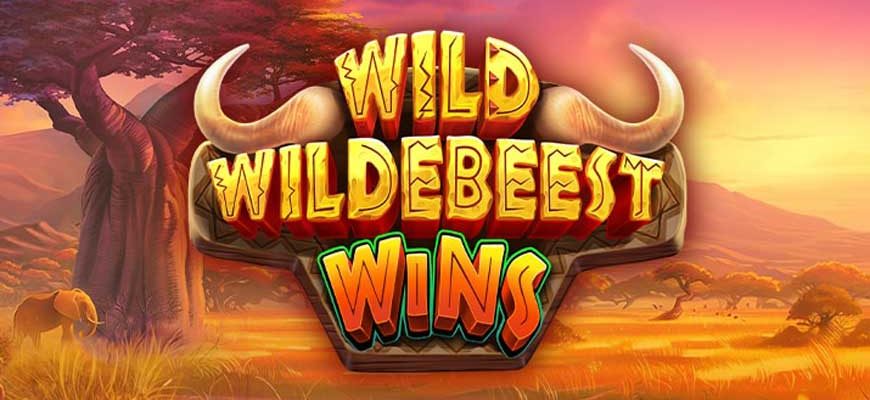 Wild Wildebeest Wins slot game review